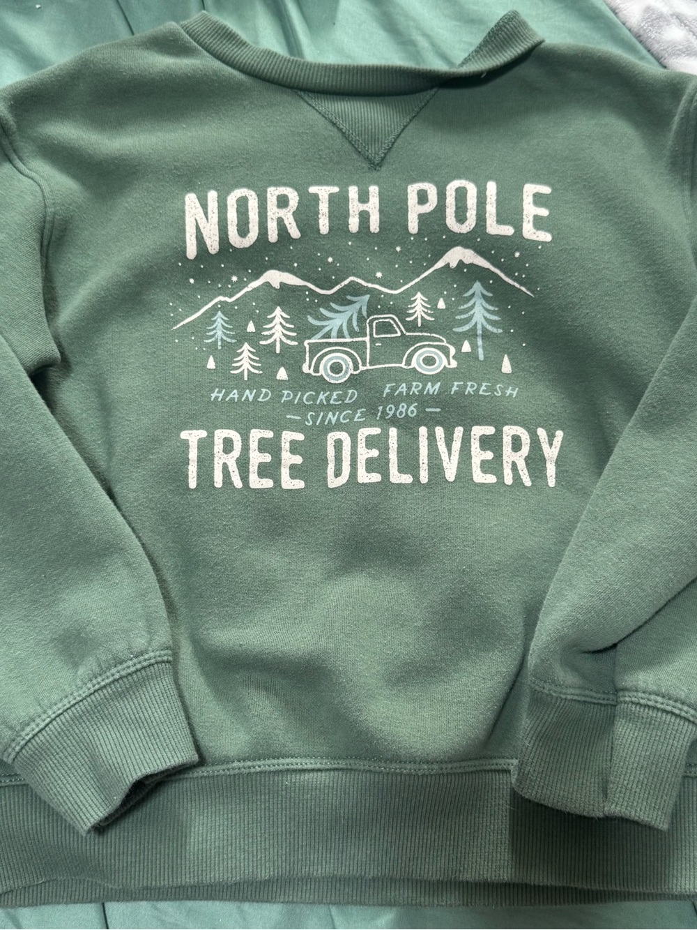 North Pole Tree Delivery Green Kids Sweatshirt